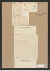 Trinacria regina Heib. (de-Toni-Nr.: Genus 119, Species 3405) Zeichnungen Sammlung Grunow Nr. 6842 (NHMW-BOT-W0375697)